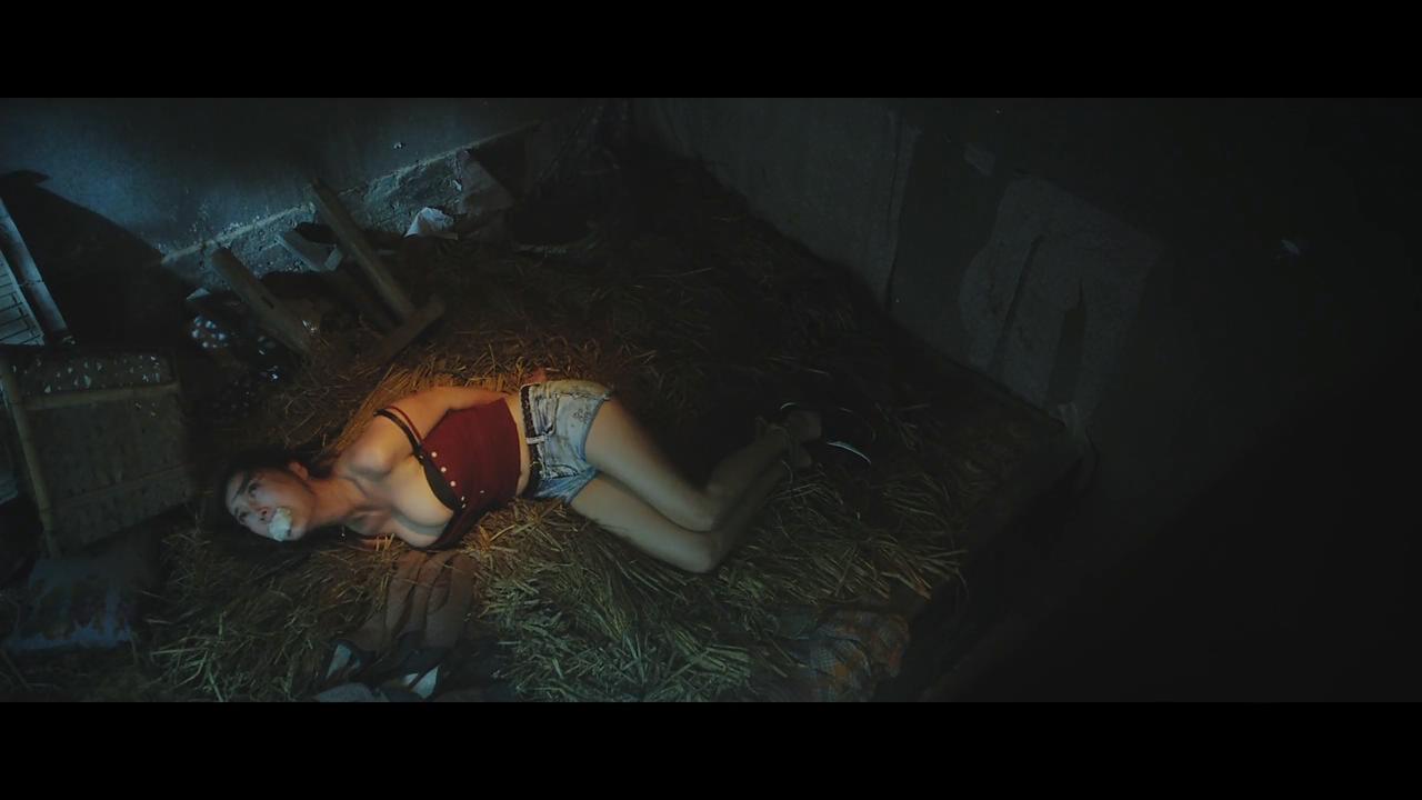 夜闯寡妇村剧照的剧照