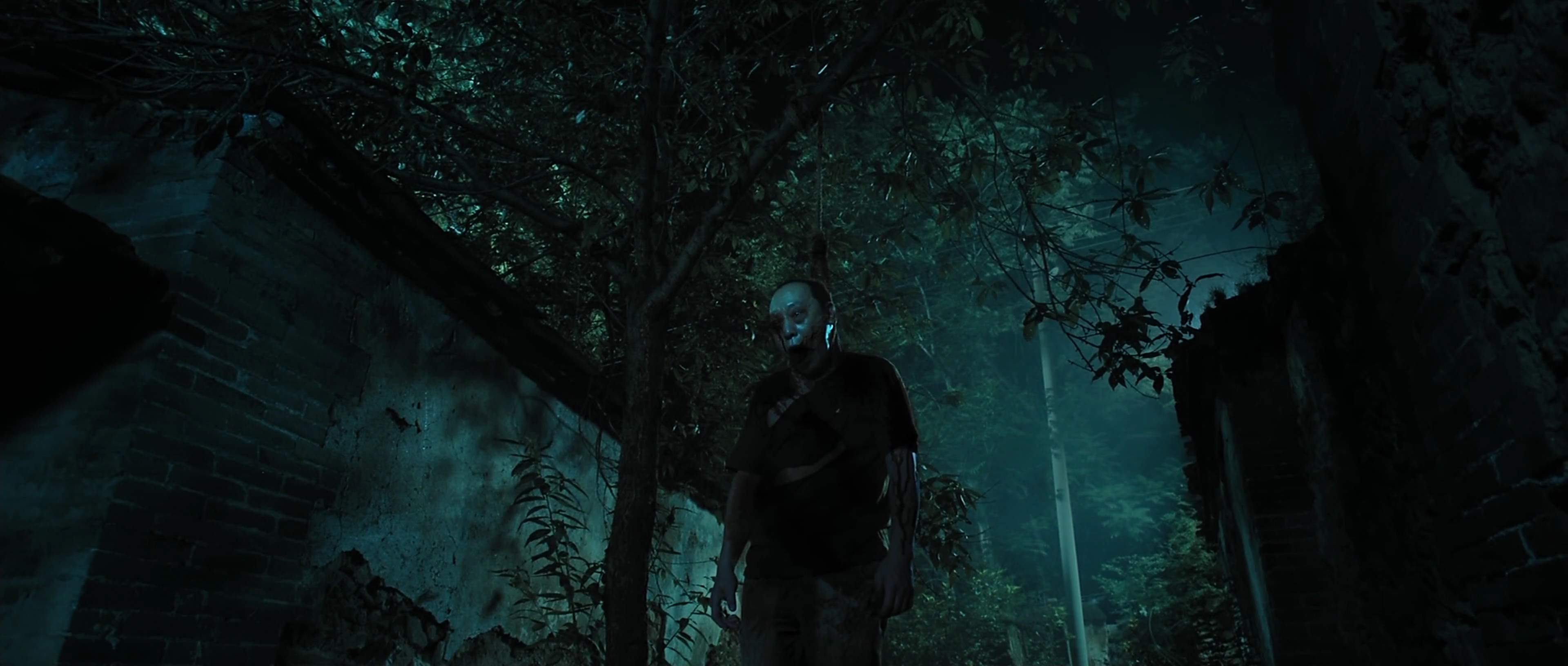 夜闯寡妇村剧照的剧照