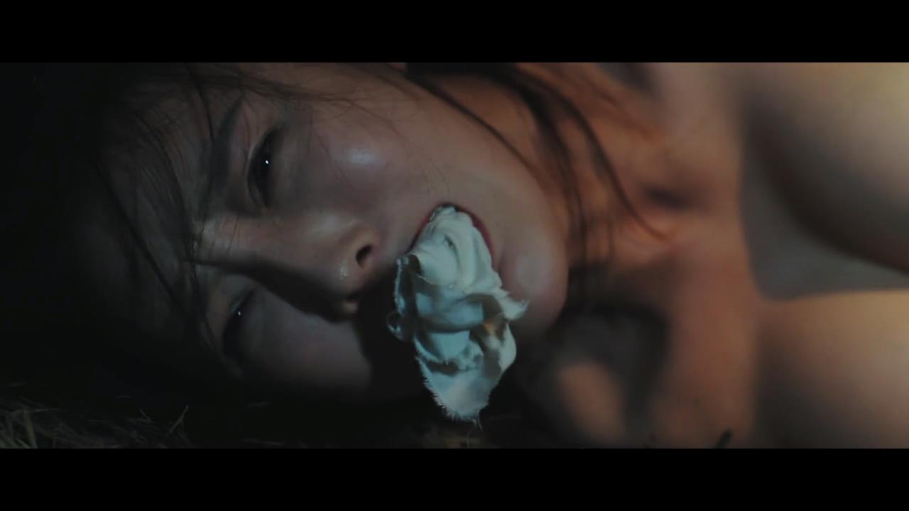 夜闯寡妇村剧照的剧照