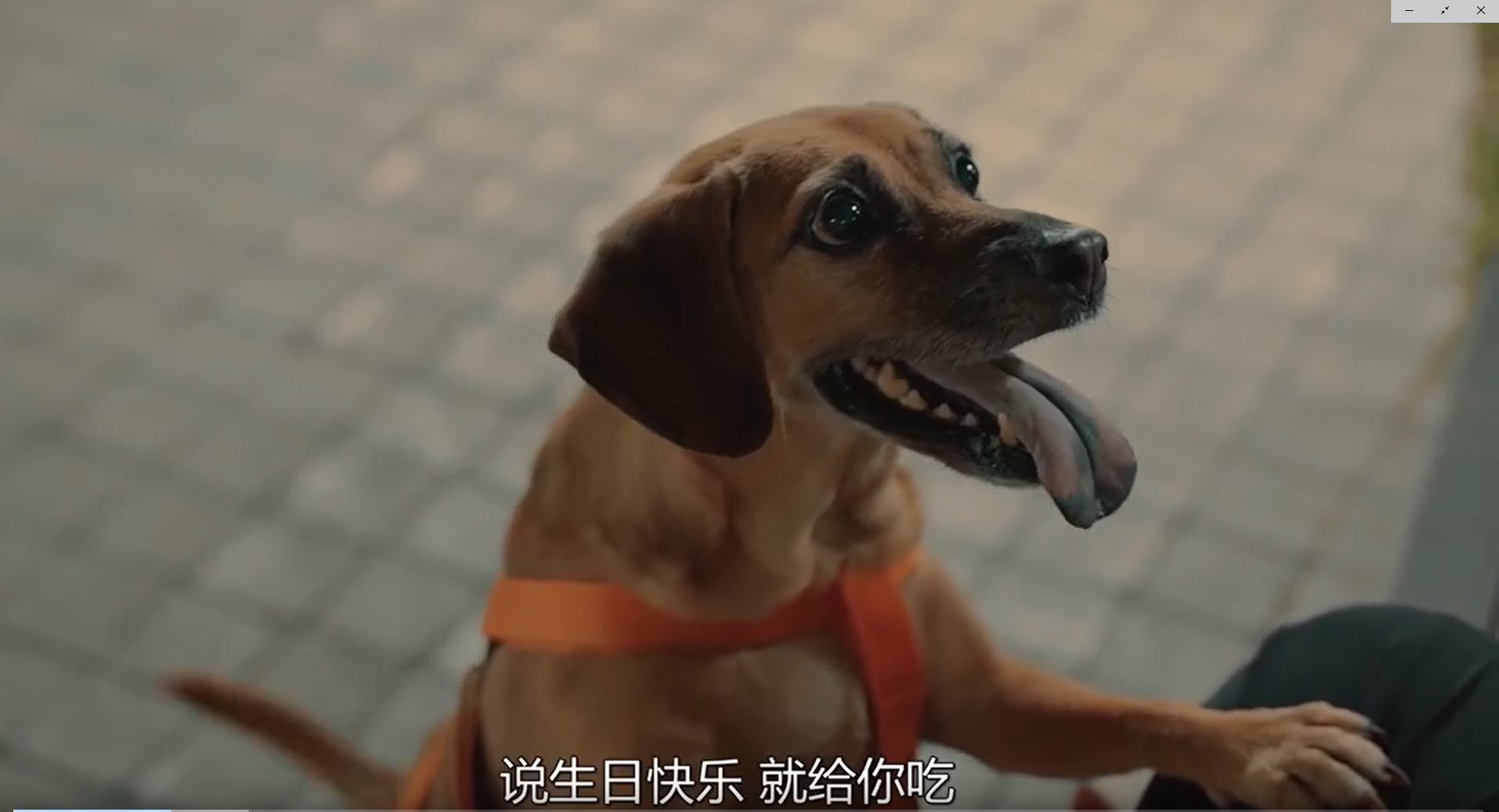 大饿剧照的剧照