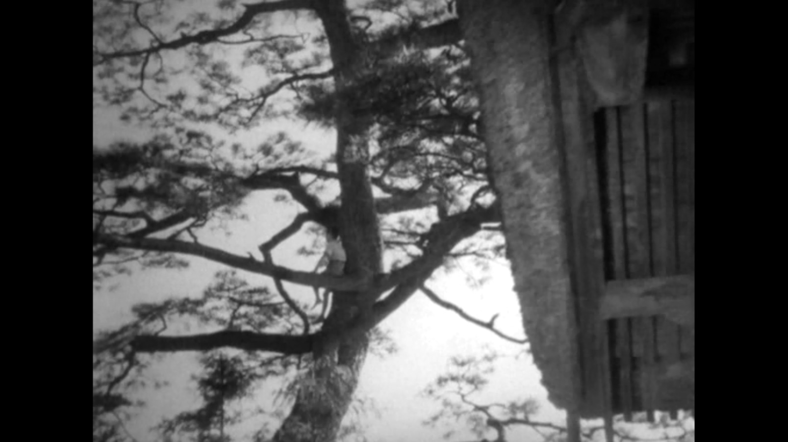 风中的孩子剧照的剧照