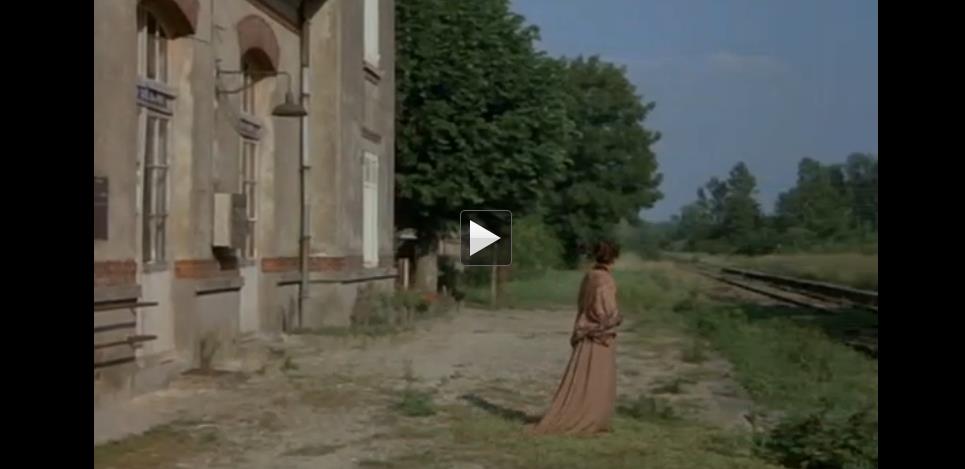 兰波传剧照的剧照