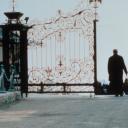 樱桃的滋味剧照