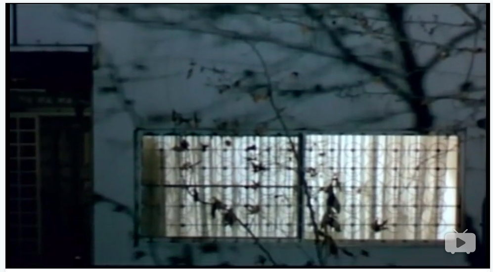 樱桃的滋味剧照的剧照