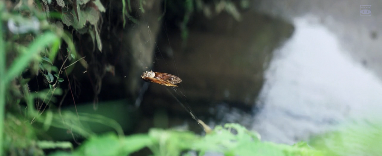 听说爷爷去世了剧照的剧照