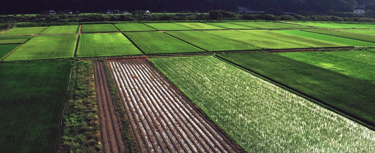 听说爷爷去世了剧照的剧照