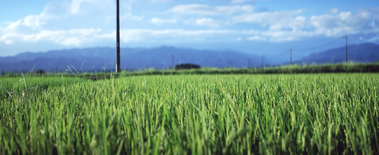 听说爷爷去世了剧照的剧照