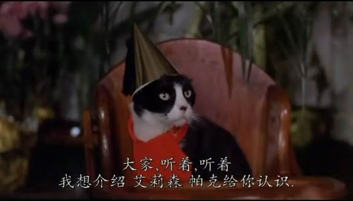 魔屋剧照的剧照