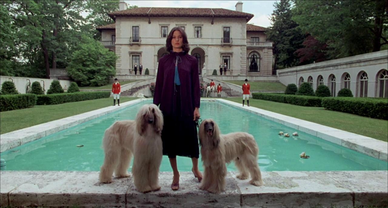 魔屋剧照的剧照