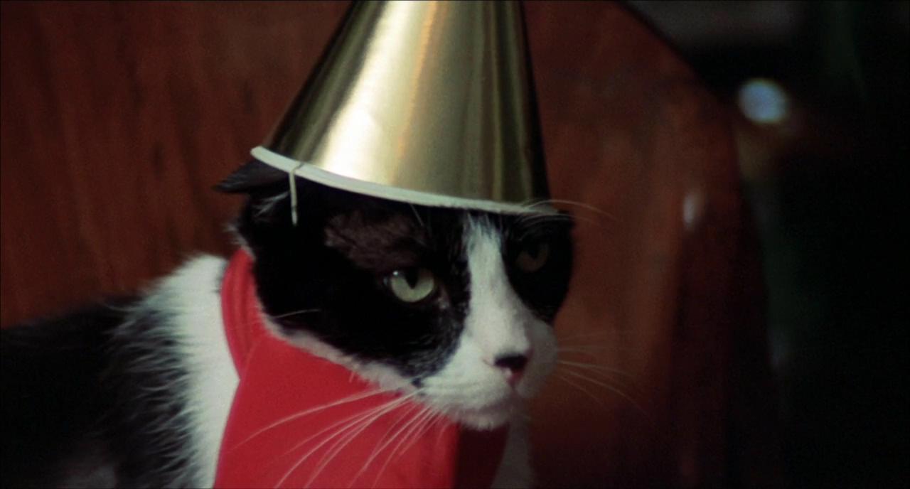 魔屋剧照的剧照