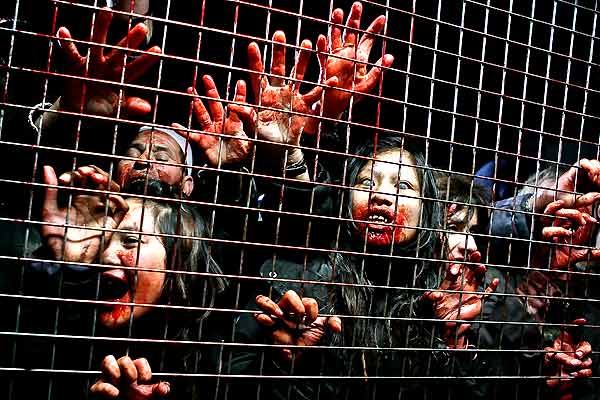 群斗剧照的剧照