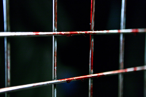 群斗剧照的剧照