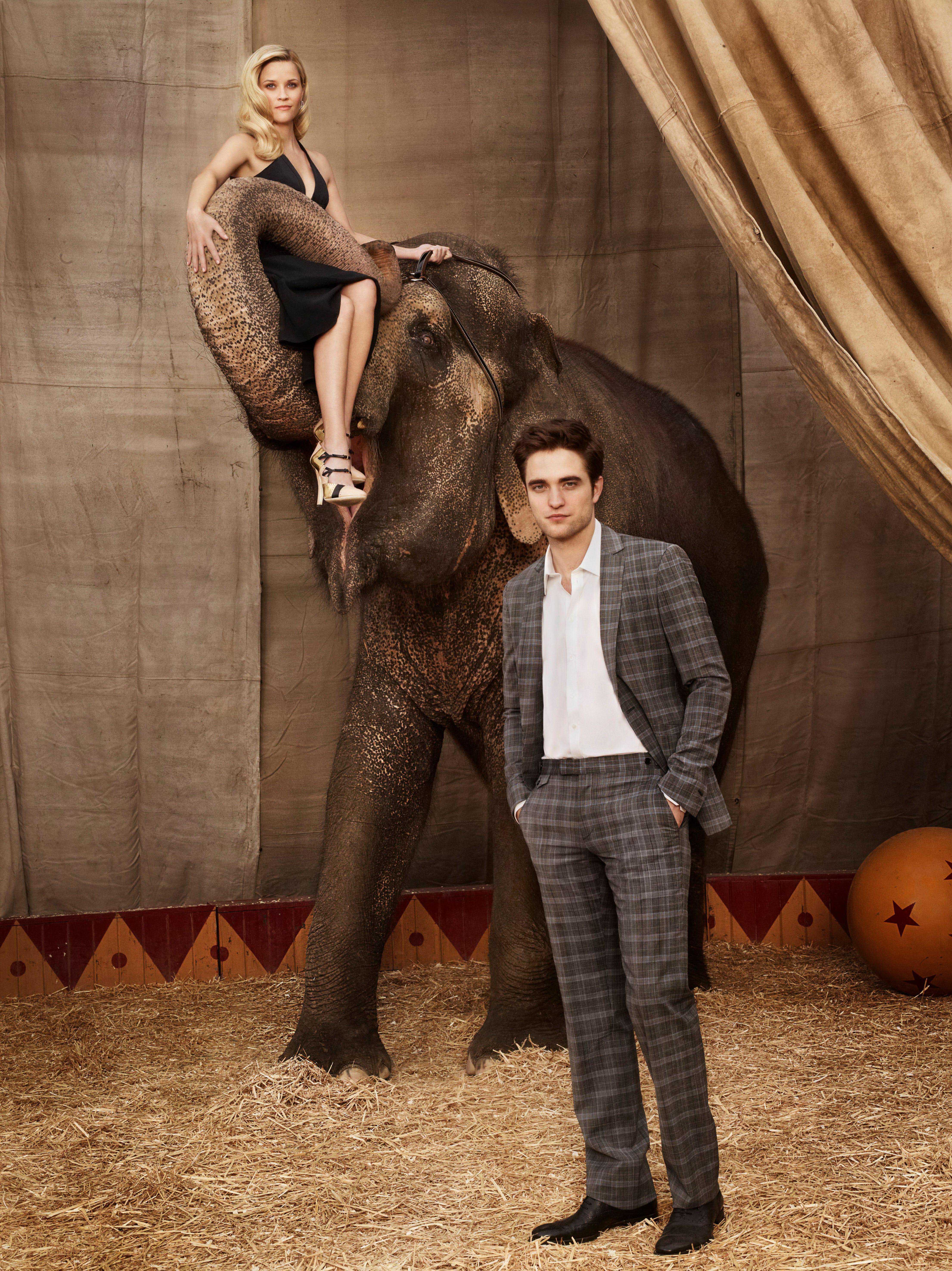 大象的眼泪剧照的剧照