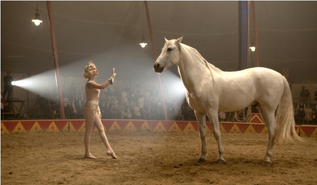 大象的眼泪剧照的剧照