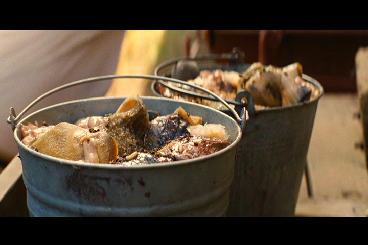 大象的眼泪剧照的剧照