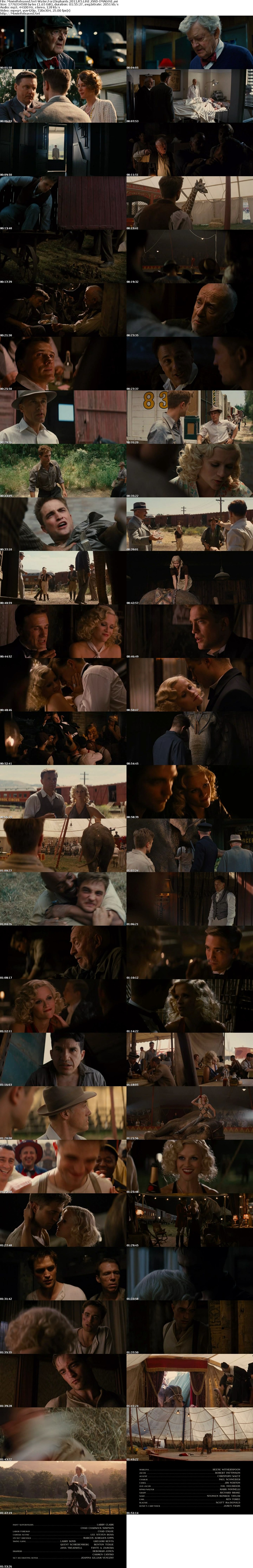 大象的眼泪剧照的剧照