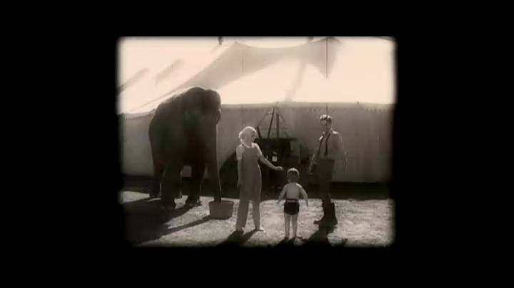 大象的眼泪剧照的剧照