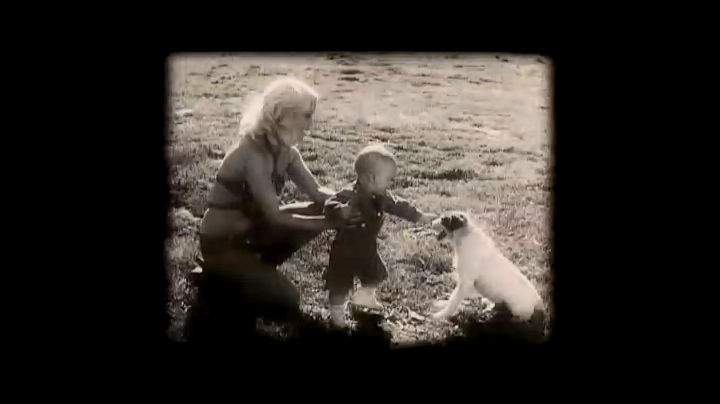 大象的眼泪剧照的剧照