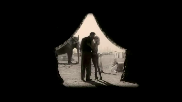 大象的眼泪剧照的剧照