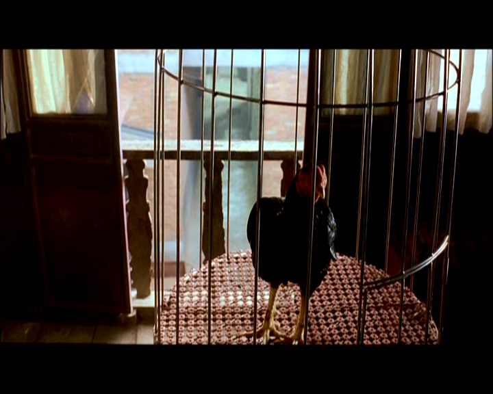 鸡犬不宁剧照的剧照