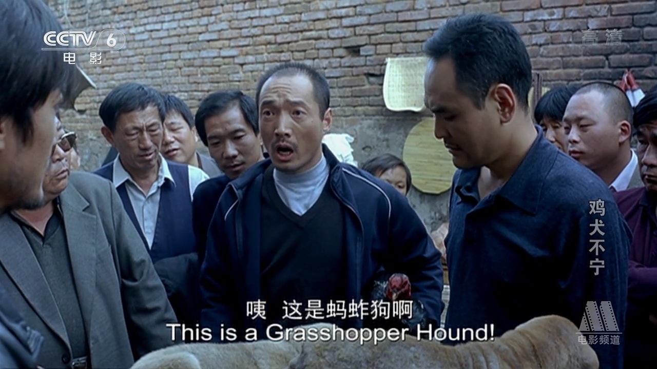 鸡犬不宁剧照的剧照