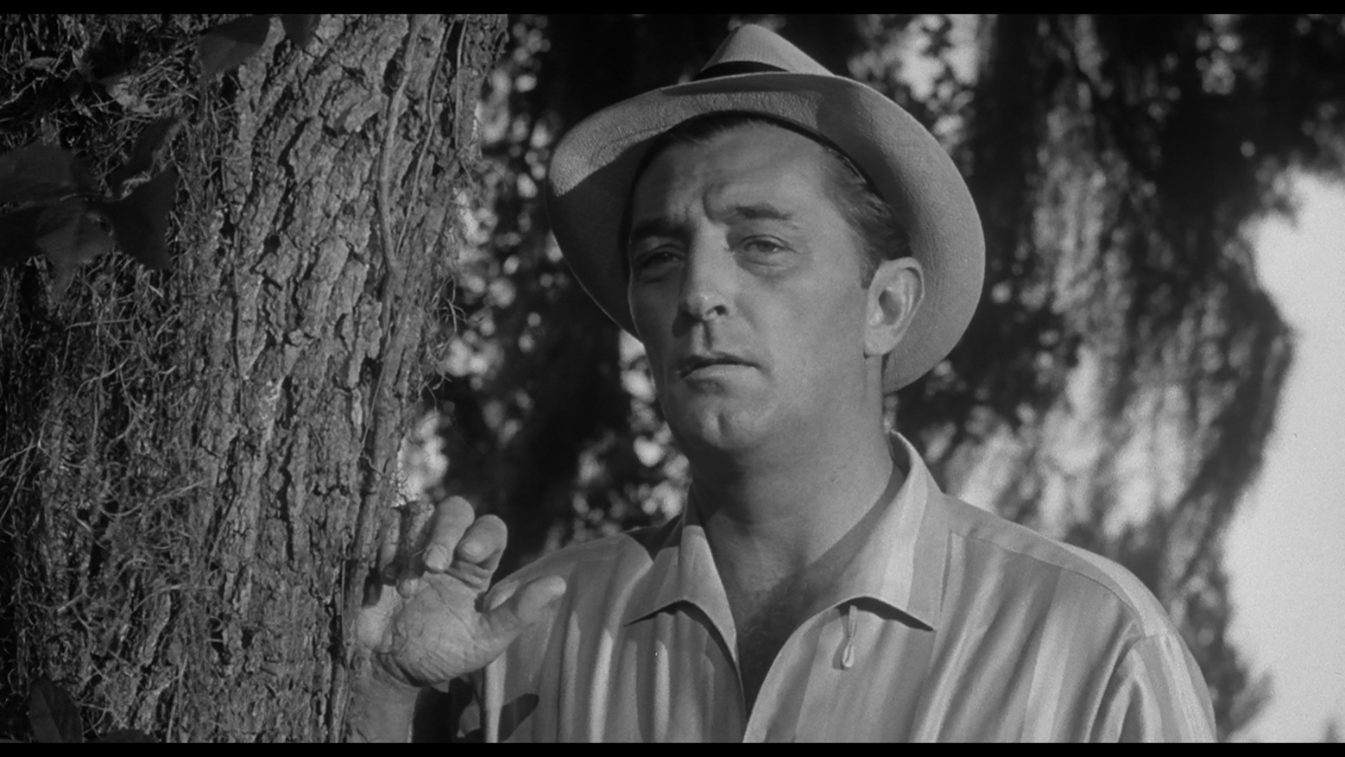 恐怖角剧照的剧照