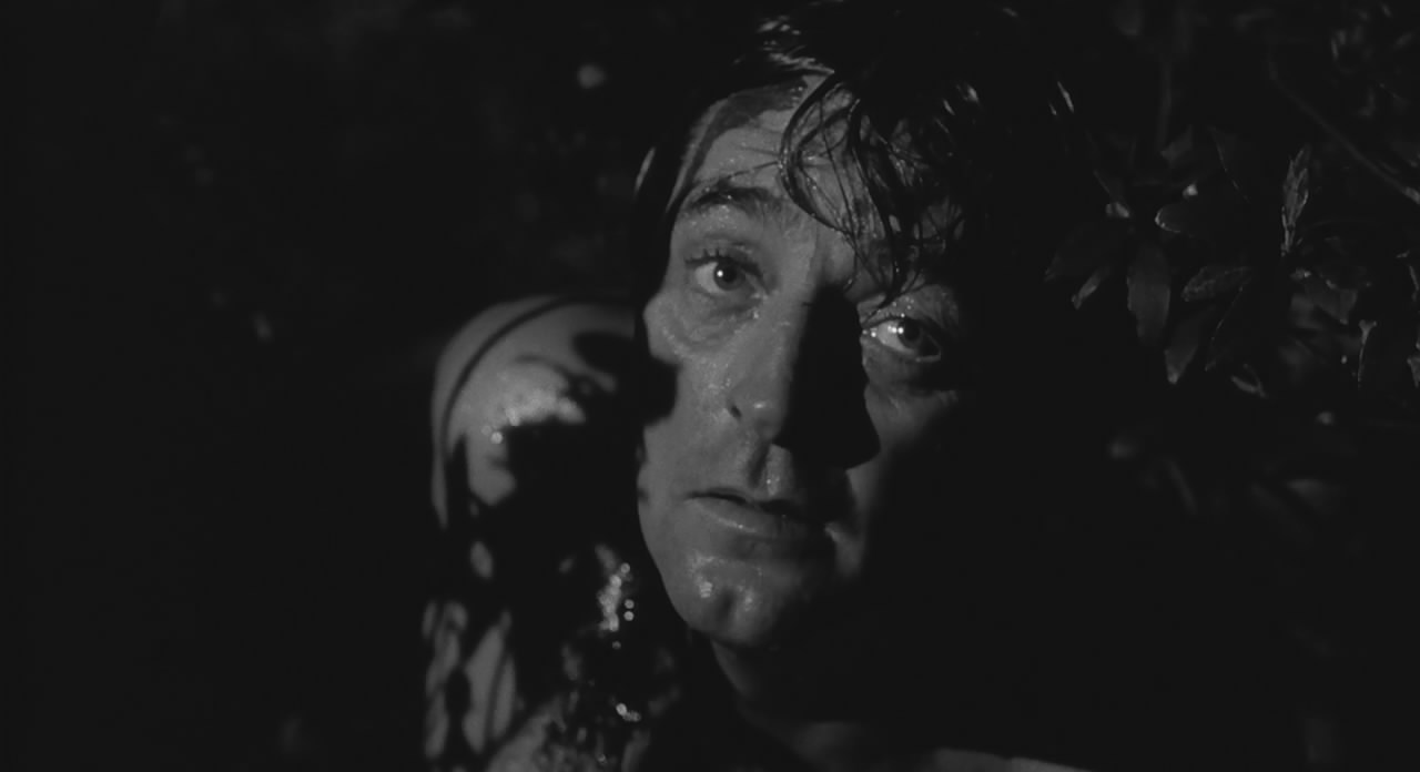 恐怖角剧照的剧照