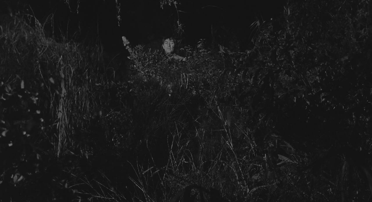 恐怖角剧照的剧照