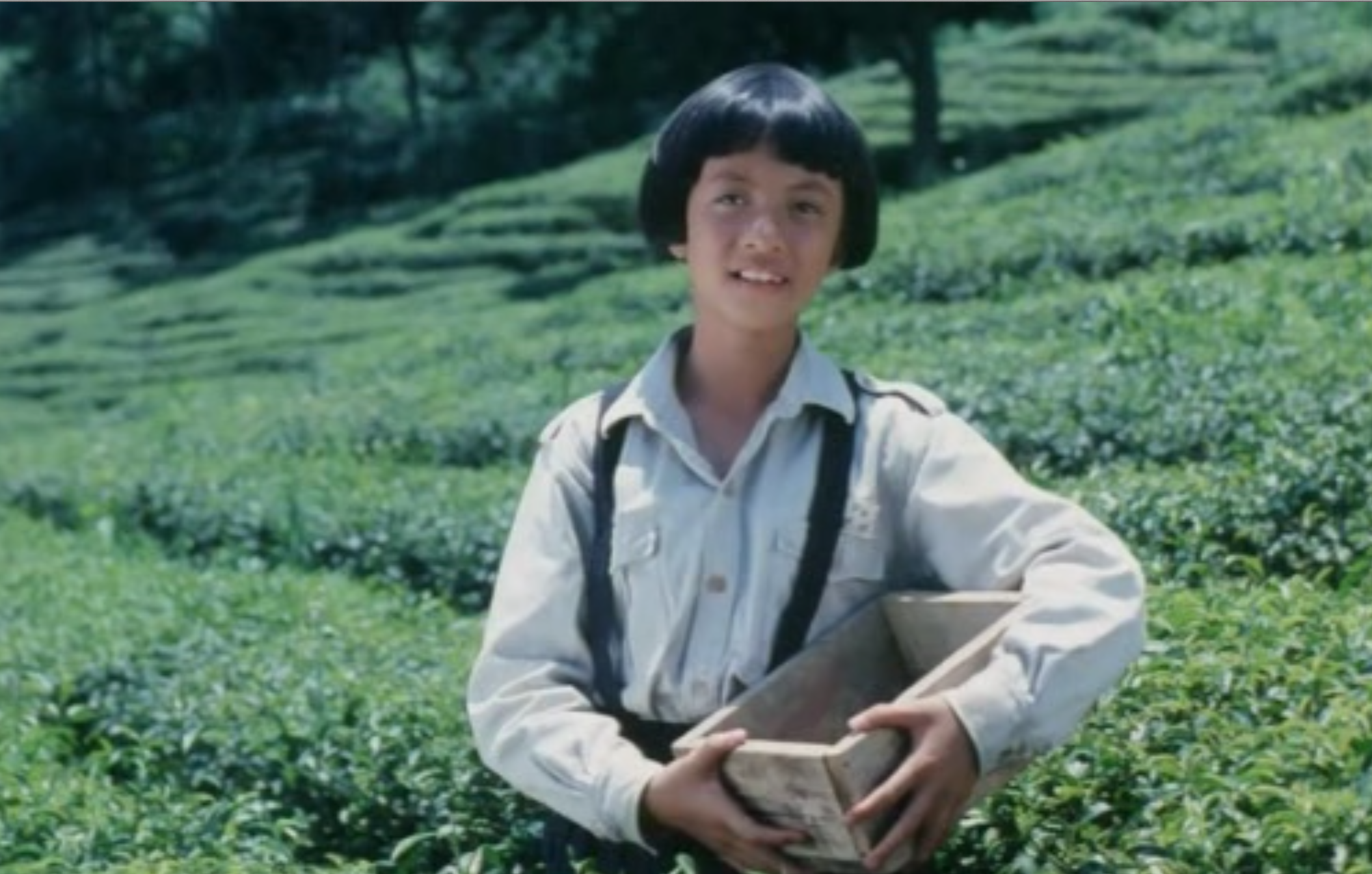 鲁冰花剧照的剧照