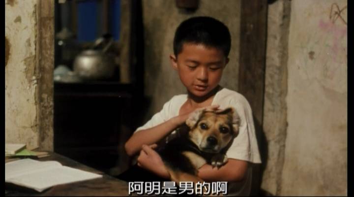 鲁冰花剧照的剧照