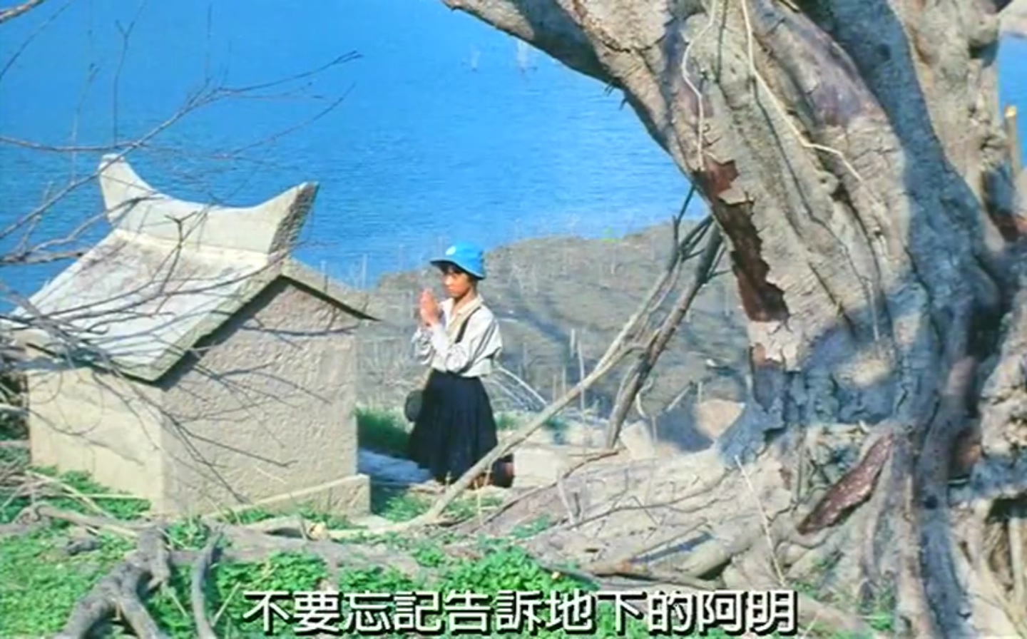 鲁冰花剧照的剧照