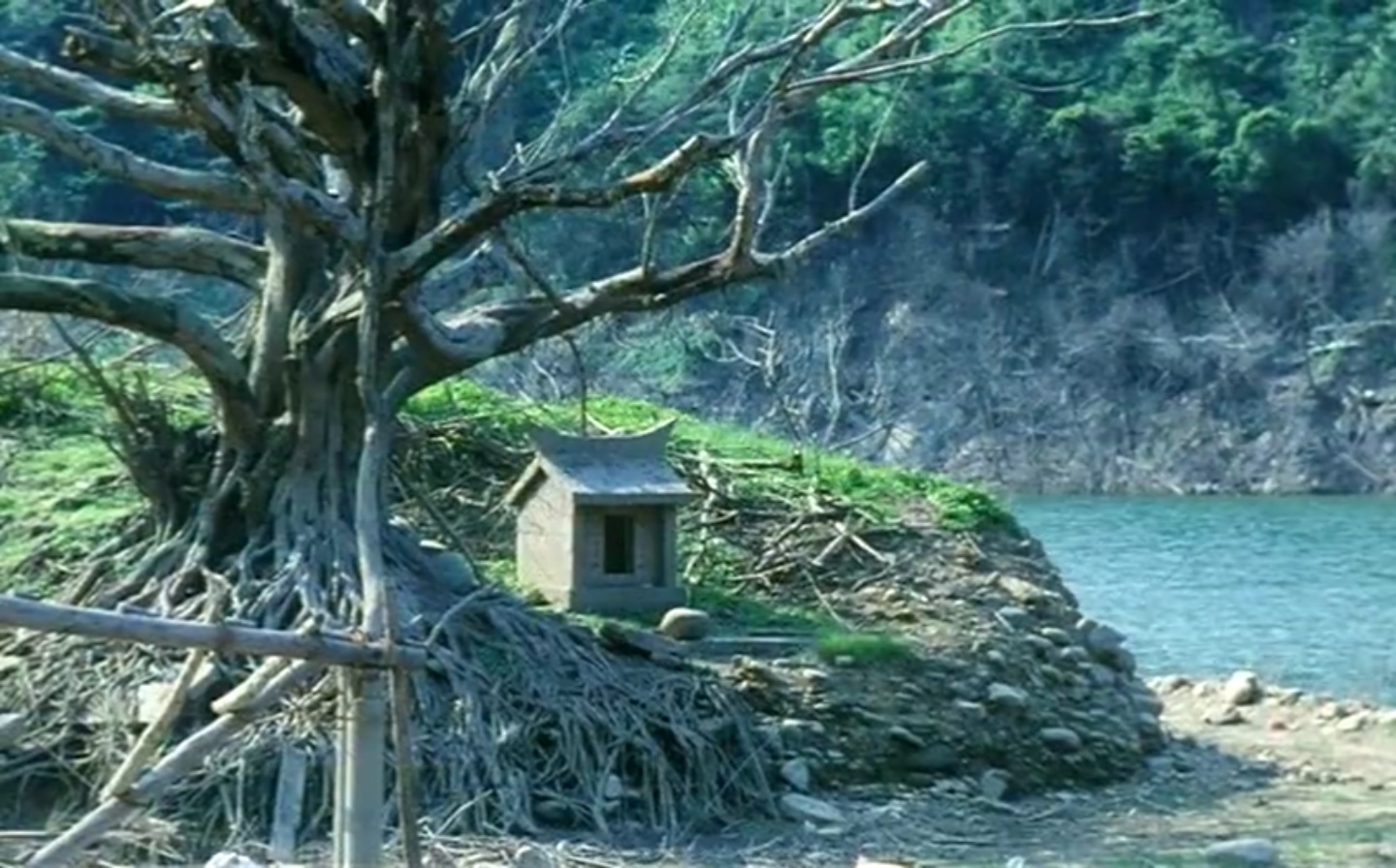 鲁冰花剧照的剧照