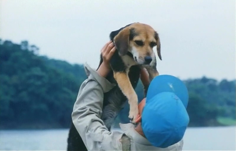 鲁冰花剧照的剧照