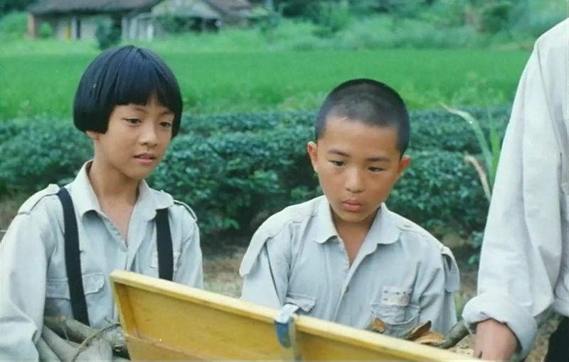 鲁冰花剧照的剧照