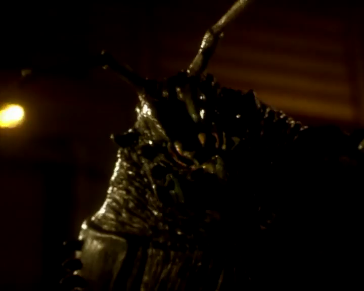 深寒食人兽剧照的剧照