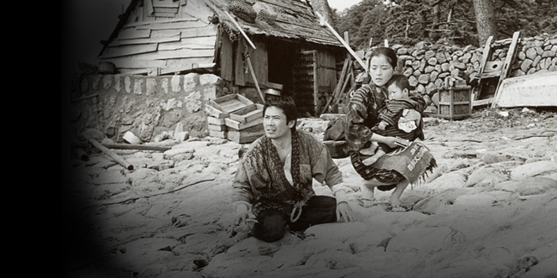 寅次郎的故事9：柴又恋情剧照的剧照