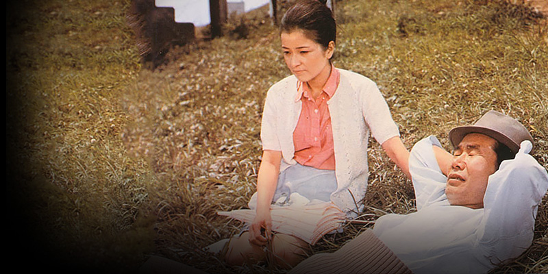 寅次郎的故事9：柴又恋情剧照的剧照