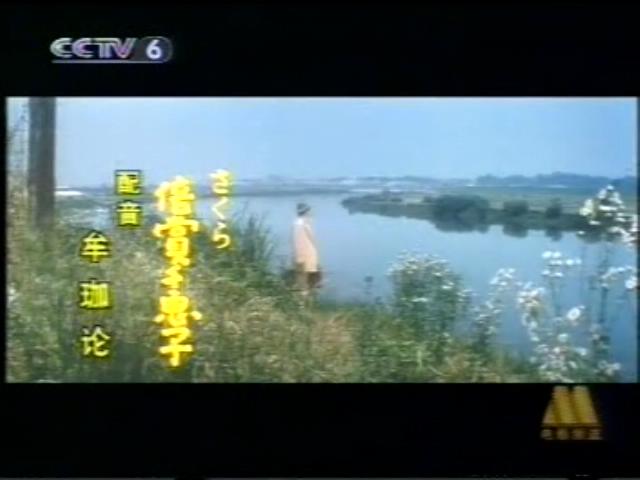 寅次郎的故事9：柴又恋情剧照的剧照