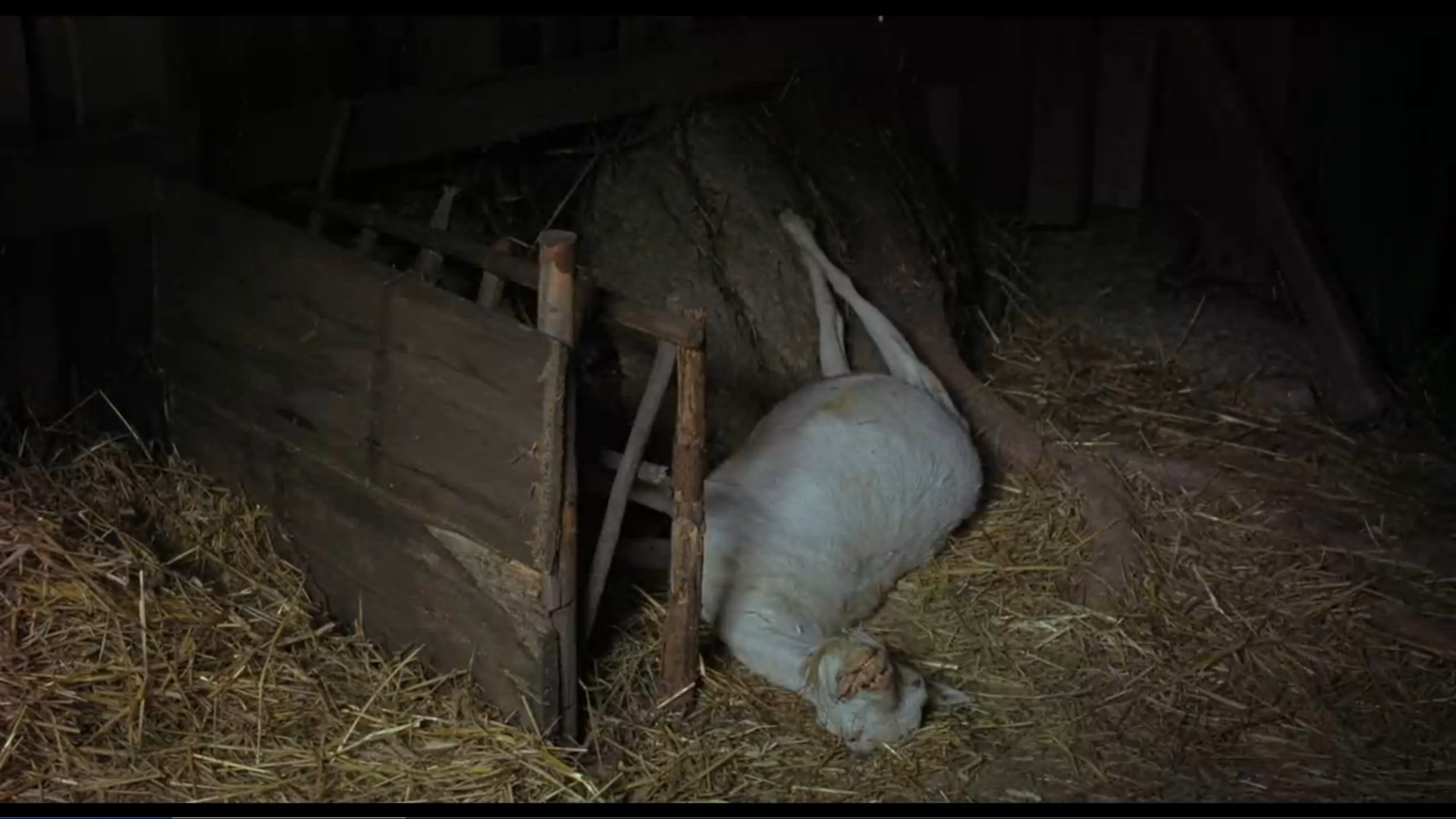 极恶之地剧照的剧照