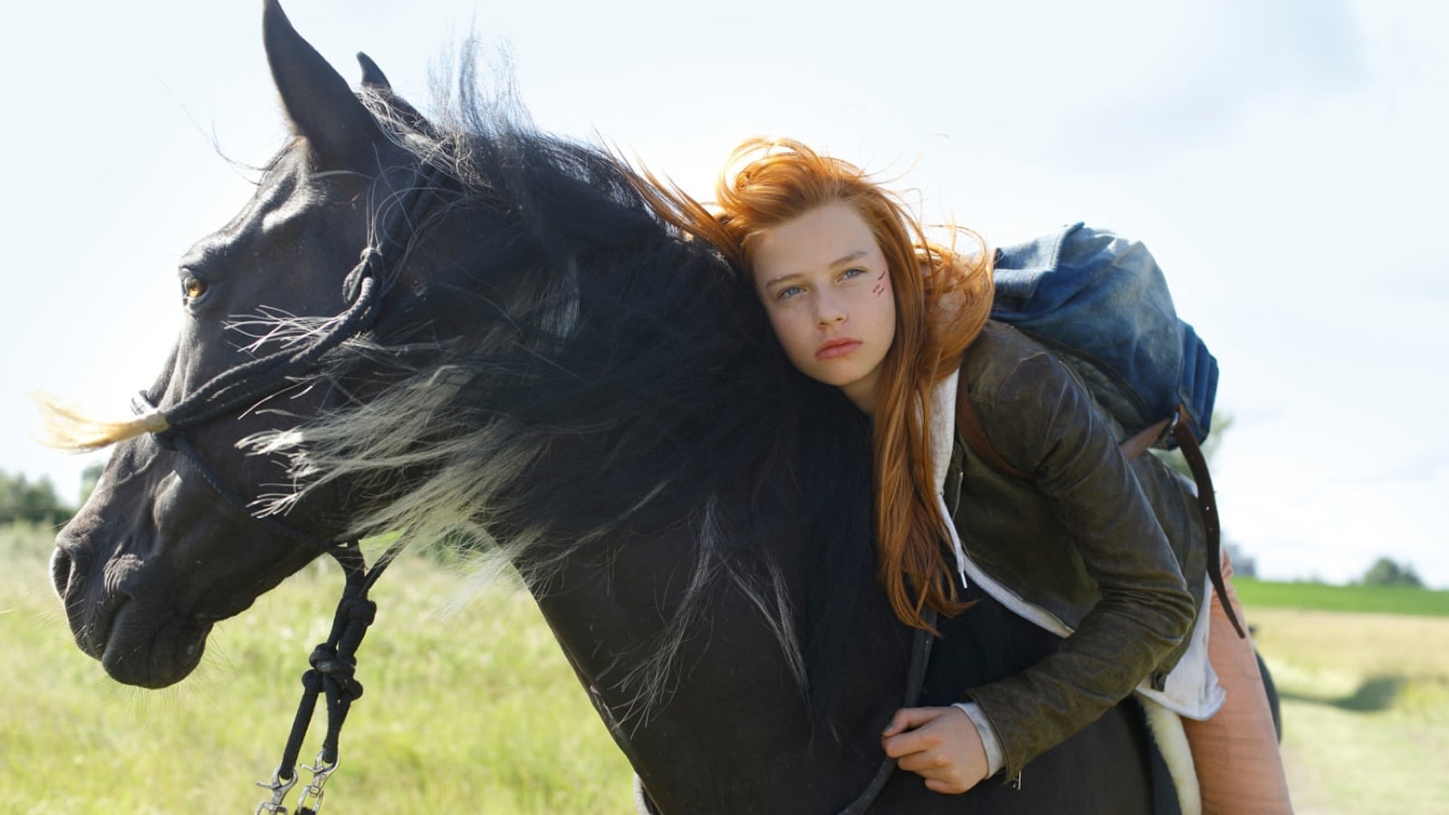 骏马奥斯温剧照的剧照