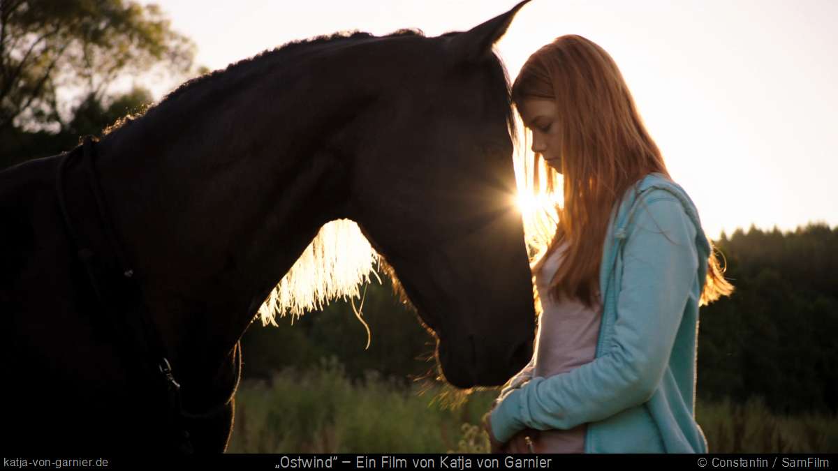 骏马奥斯温剧照的剧照