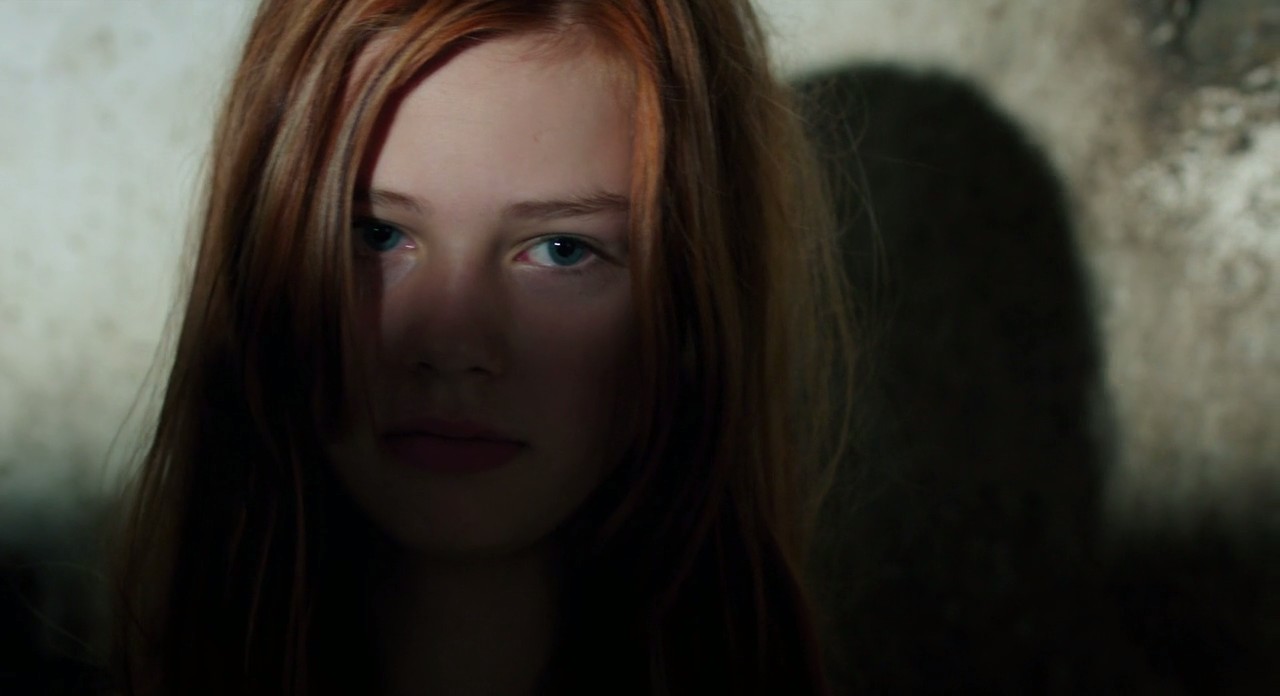 骏马奥斯温剧照的剧照