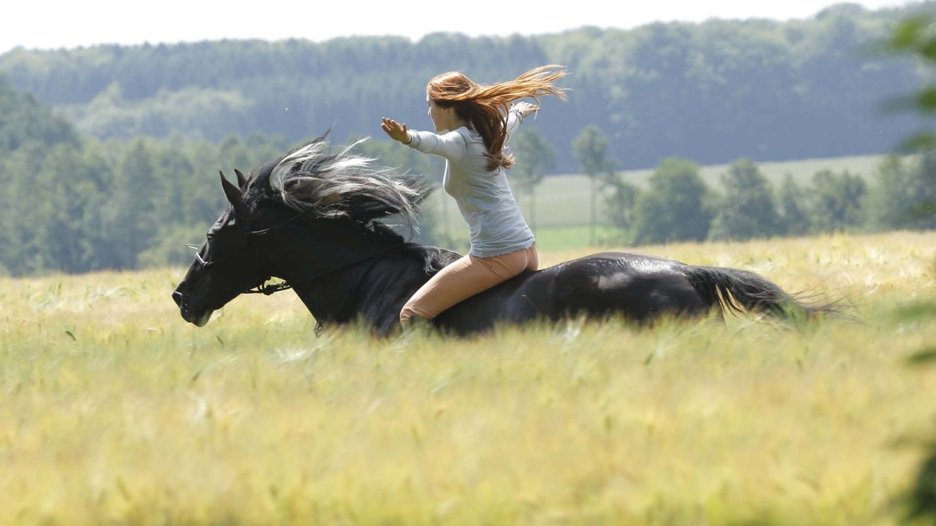 骏马奥斯温剧照的剧照