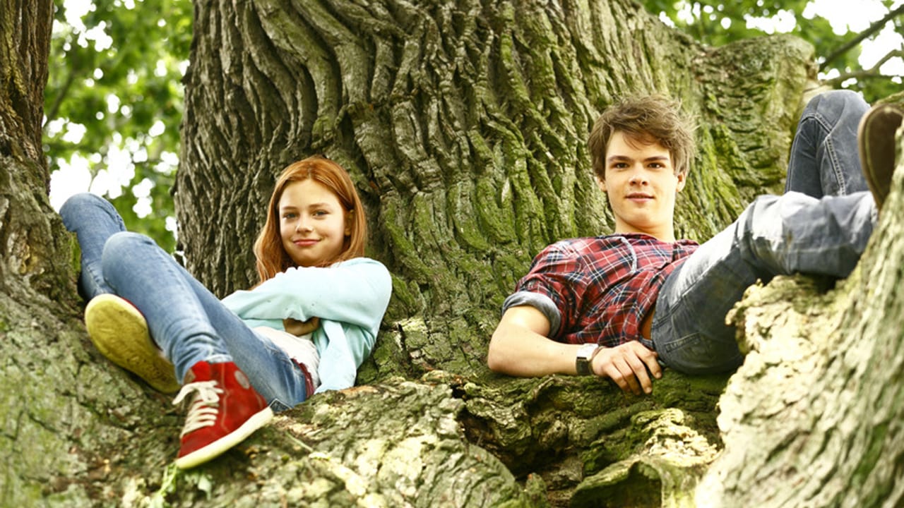 骏马奥斯温剧照的剧照