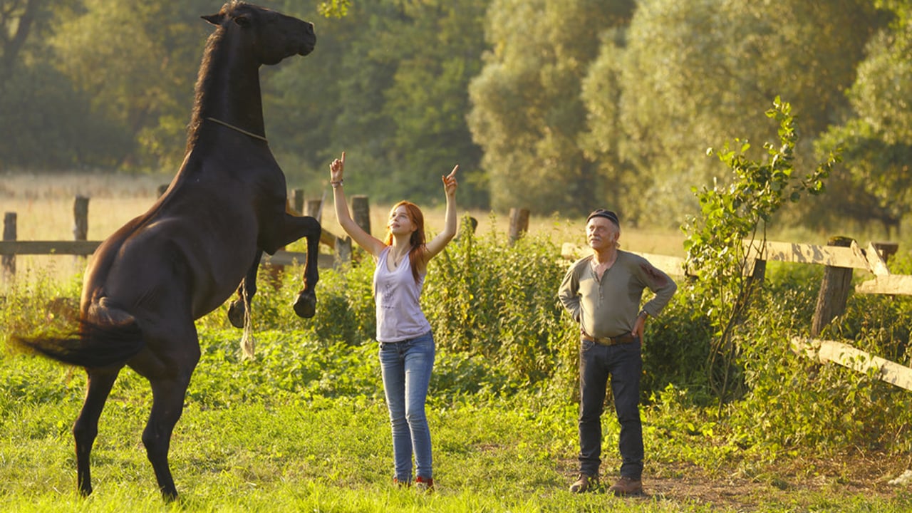 骏马奥斯温剧照的剧照