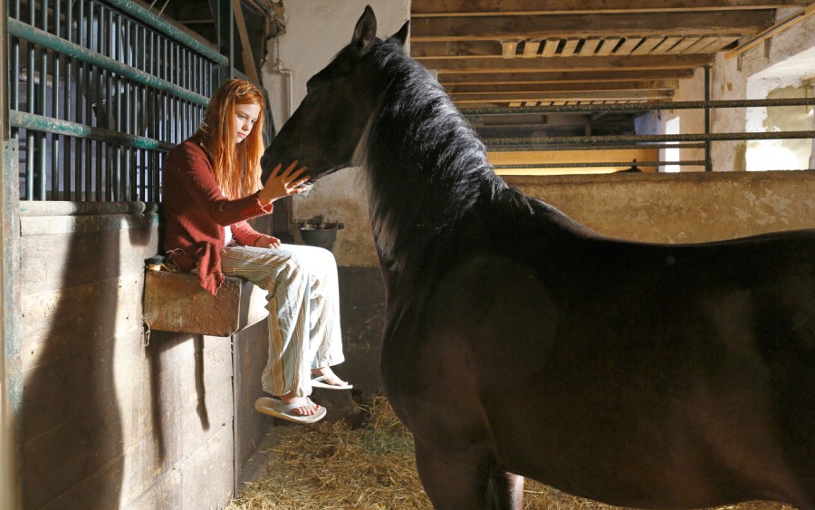 骏马奥斯温剧照的剧照