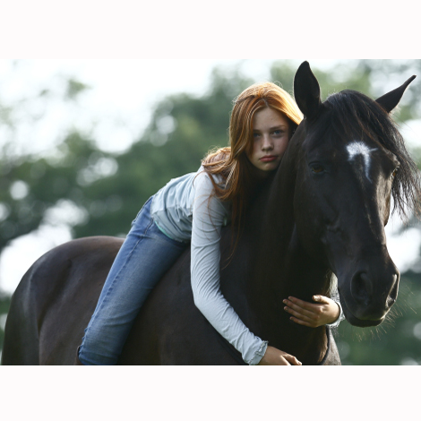 骏马奥斯温剧照的剧照