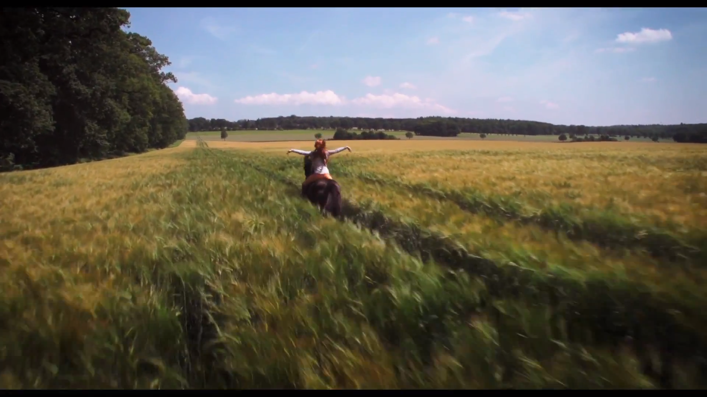 骏马奥斯温剧照的剧照