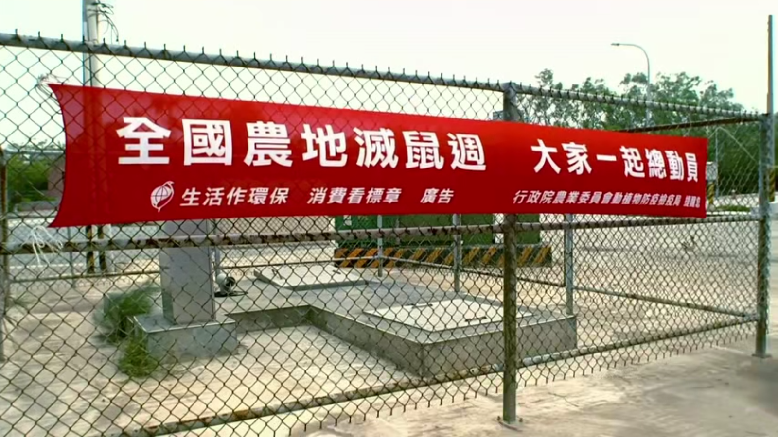 老鹰想飞剧照的剧照