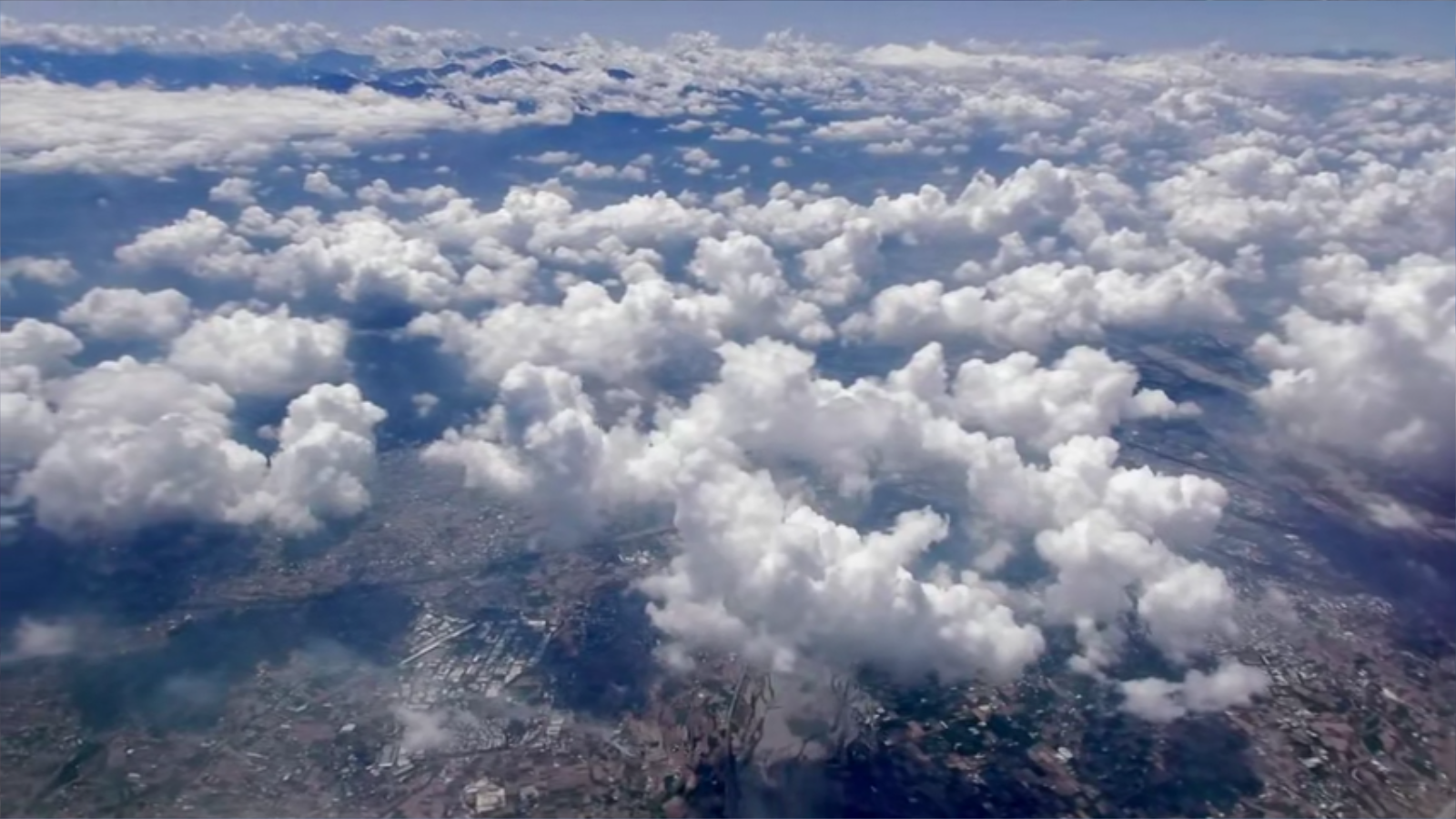 老鹰想飞剧照的剧照